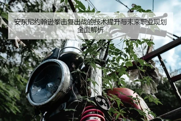 安东尼约翰逊拳击复出战的技术提升与未来职业规划全面解析